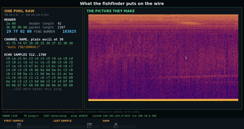 One ping, raw, and the picture it draws
